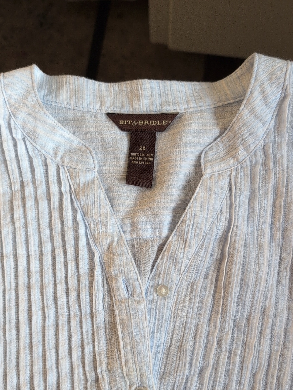 Bit & Bridle Pale Blue Striped Pintuck Henley